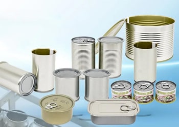 Tinplate Packaging Cans Market (2025–2033): Innovation, Growth, and Sustainability Drive the Future
